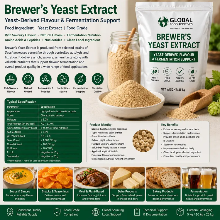 Food-grade Brewer’s Yeast Extract powder for savoury food and fermentation applications
