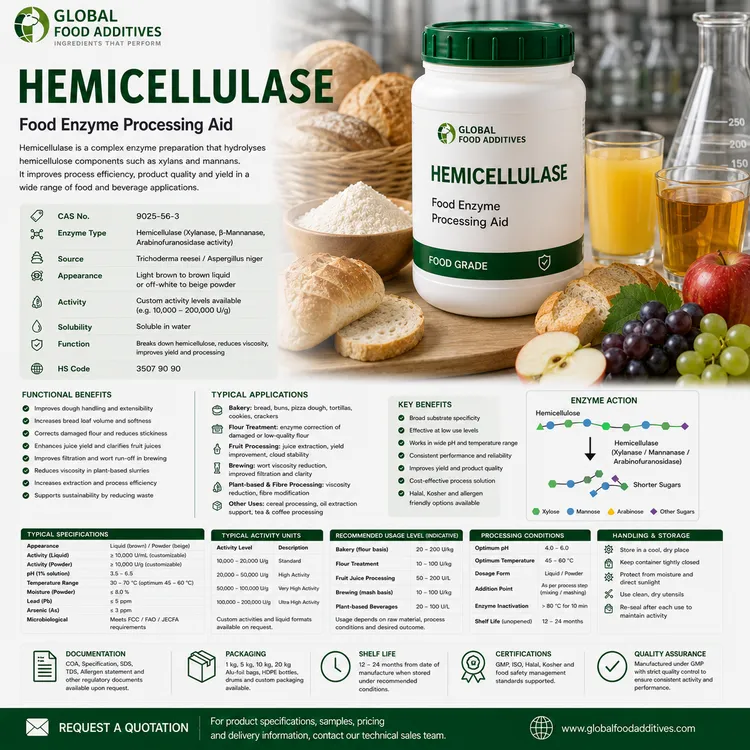 Hemicellulase food enzyme preparation for bakery, juice, brewing and plant fibre processing