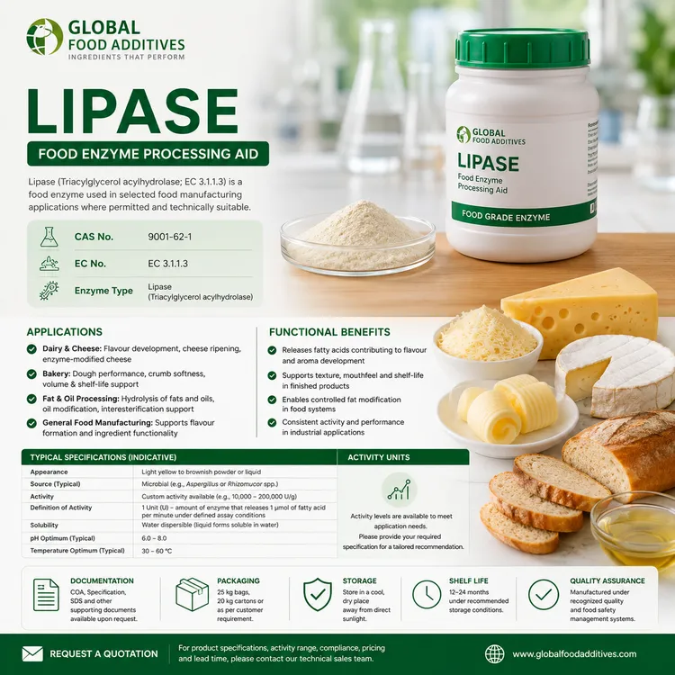 Lipase food additive food additive ingredient illustration