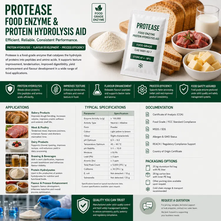 Protease food enzyme processing aid food additive ingredient illustration